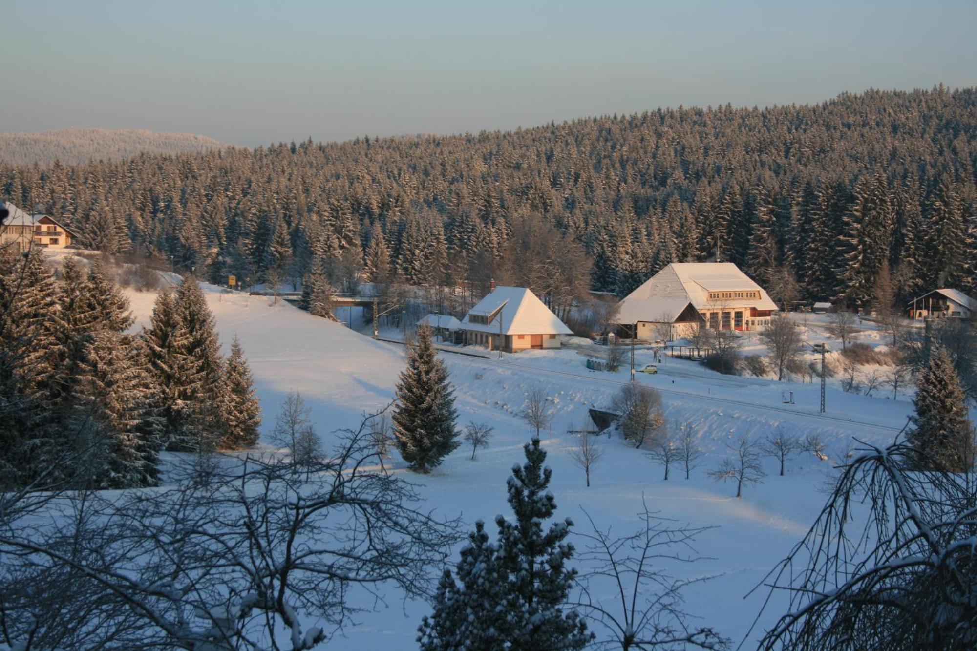 Hotel Waldeck Mit Restaurant "Florian'S" Feldberg  Εξωτερικό φωτογραφία